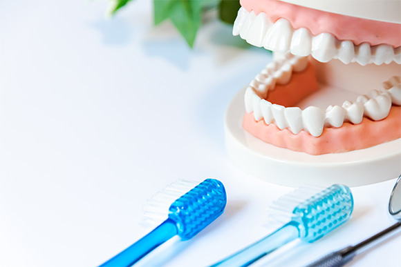 むし歯・歯周病の再発を防ぎお口の寿命を延ばす